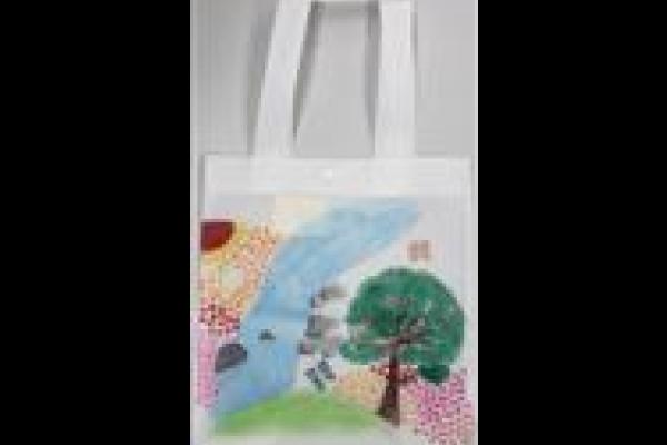 環保袋_季軍_5C 王瀅