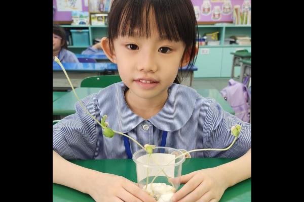 透過種植黃豆實驗掌握植物的生存條件