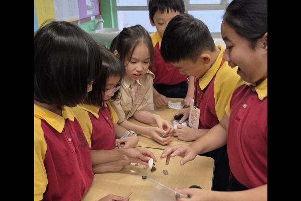 探究不同岩石的特徴實驗